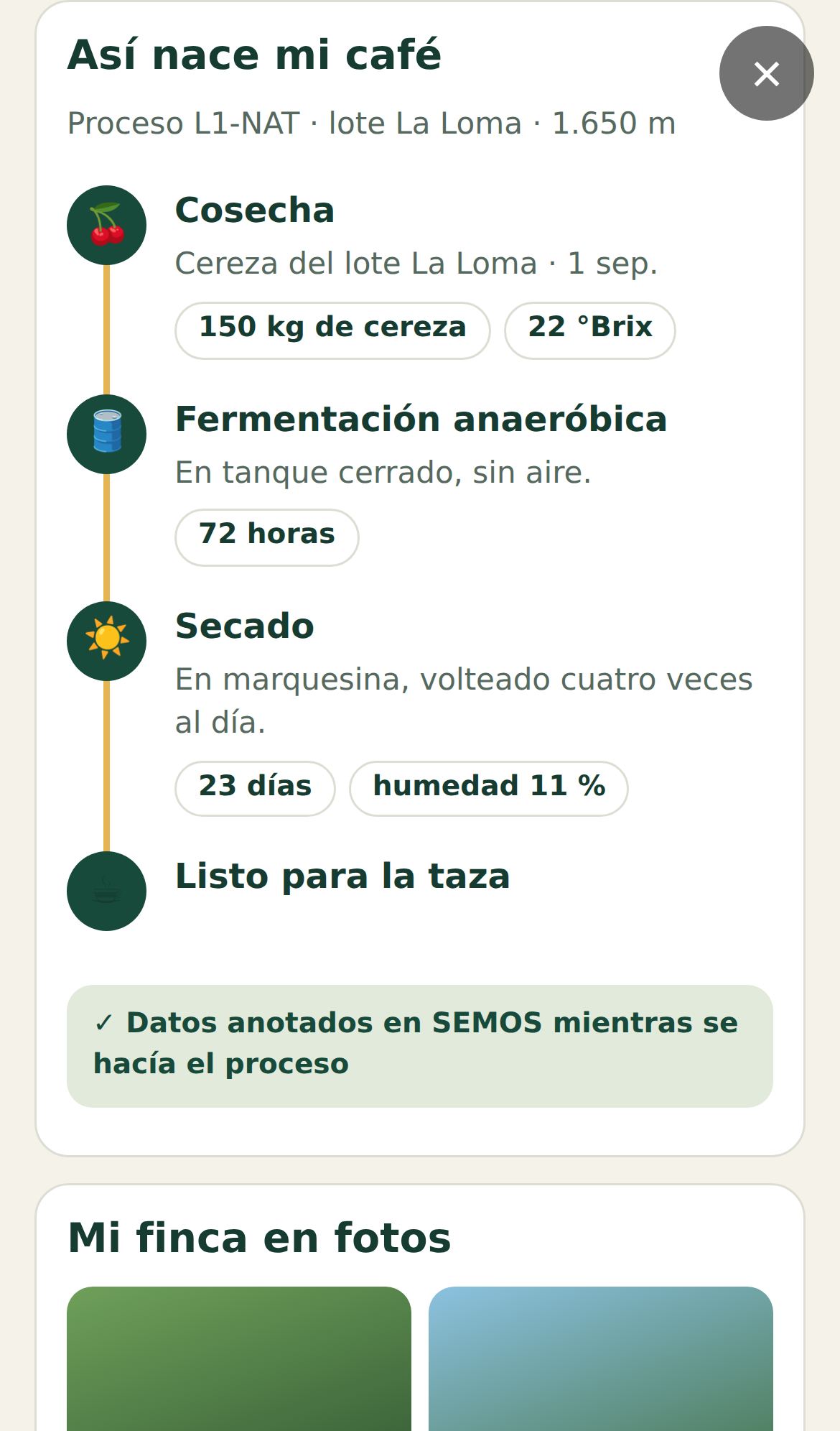 Así nace mi café: cosecha, fermentación anaeróbica y secado con sus datos